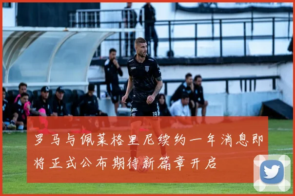 罗马与佩莱格里尼续约一年消息即将正式公布期待新篇章开启